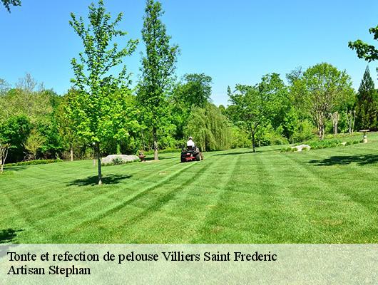 Tonte et refection de pelouse