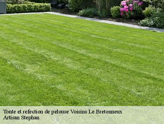 Tonte et refection de pelouse  voisins-le-bretonneux-78960 Artisan Stephan