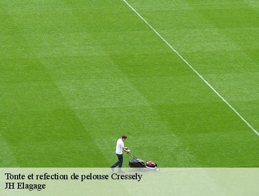 Tonte et refection de pelouse  78114