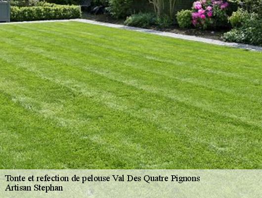 Tonte et refection de pelouse  val-des-quatre-pignons-78650 Artisan Stephan