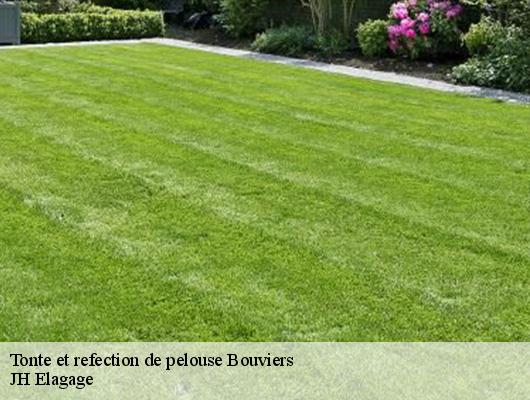 Tonte et refection de pelouse  bouviers-78280 JH Elagage
