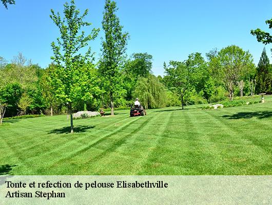 Tonte et refection de pelouse