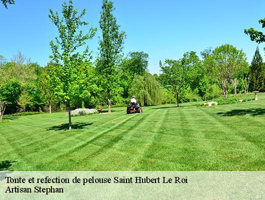 Tonte et refection de pelouse