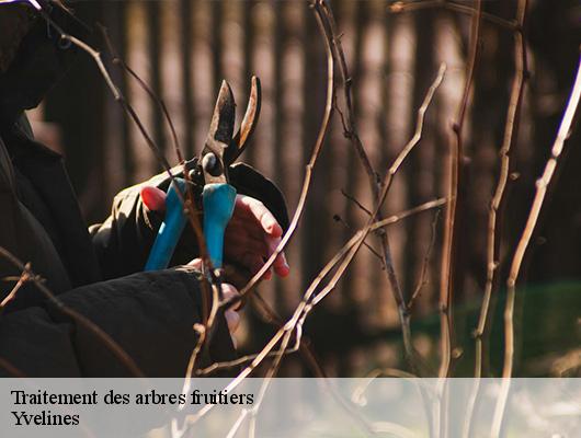 Traitement des arbres fruitiers Yvelines 