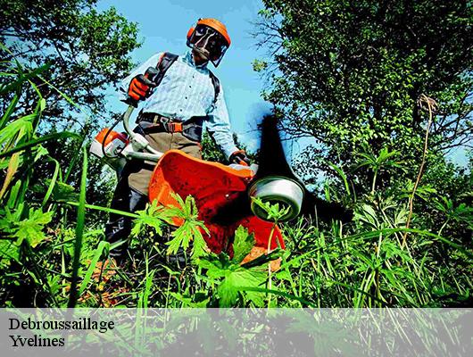 Debroussaillage Yvelines 