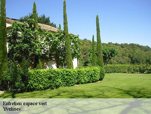 Entretien espace vert