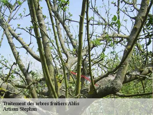 Traitement des arbres fruitiers 78660
