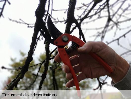 Traitement des arbres fruitiers  78660