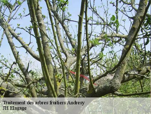 Traitement des arbres fruitiers  78570