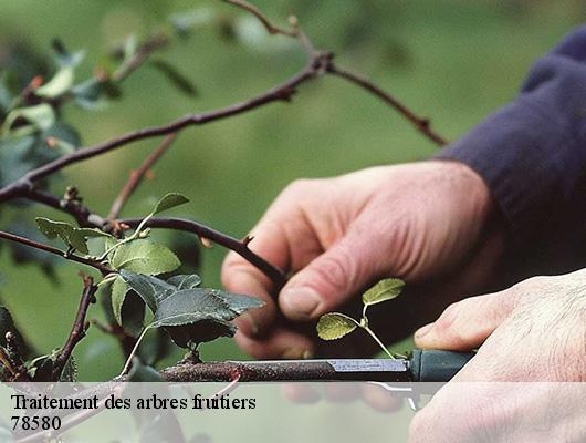 Traitement des arbres fruitiers