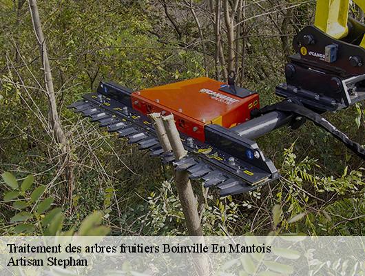 Traitement des arbres fruitiers  boinville-en-mantois-78930 Artisan Stephan