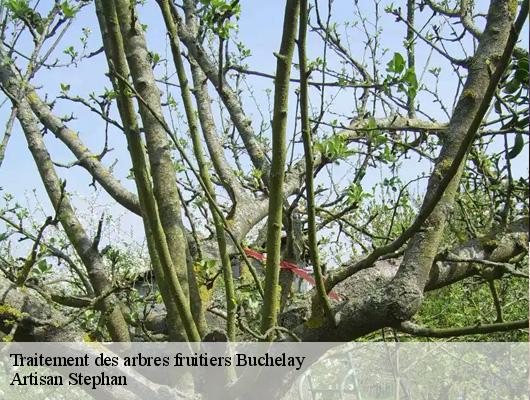 Traitement des arbres fruitiers  78200