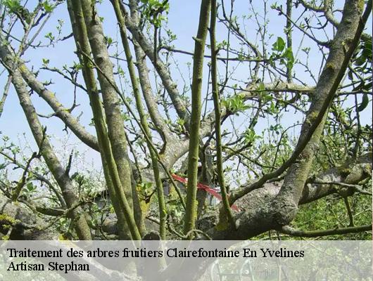 Traitement des arbres fruitiers  78120