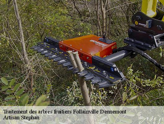 Traitement des arbres fruitiers follainville-dennemont-78520 Artisan Stephan