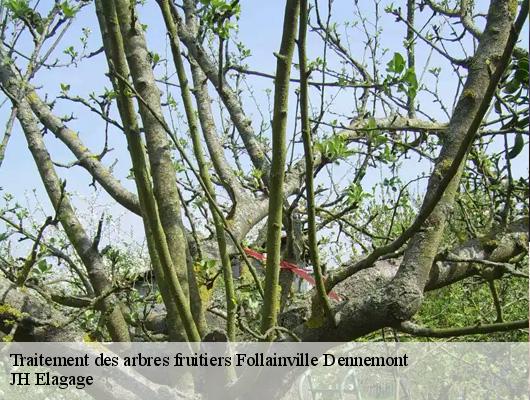 Traitement des arbres fruitiers  78520