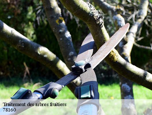 Traitement des arbres fruitiers 78160