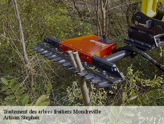 Traitement des arbres fruitiers mondreville-78980 Artisan Stephan