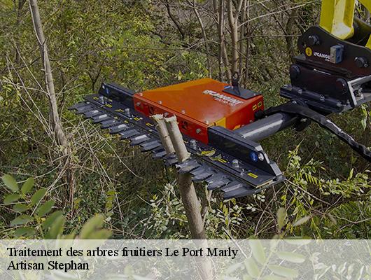 Traitement des arbres fruitiers le-port-marly-78560 Artisan Stephan