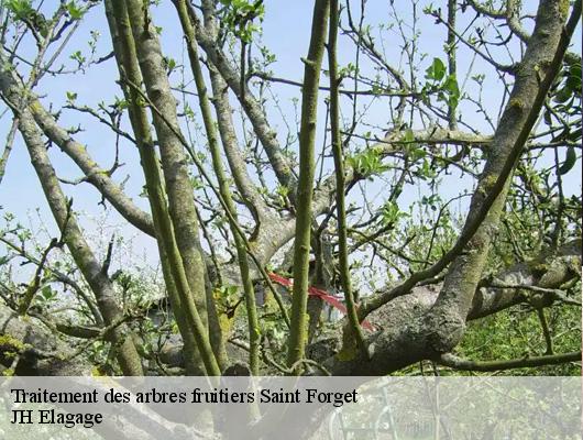 Traitement des arbres fruitiers  78720