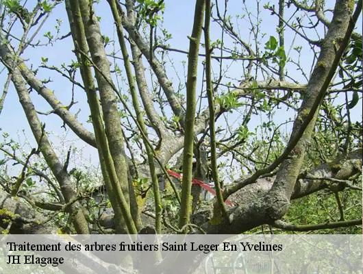 Traitement des arbres fruitiers  78610