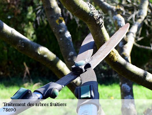 Traitement des arbres fruitiers 78690