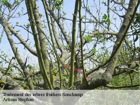 Traitement des arbres fruitiers 78120