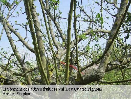 Traitement des arbres fruitiers  78650