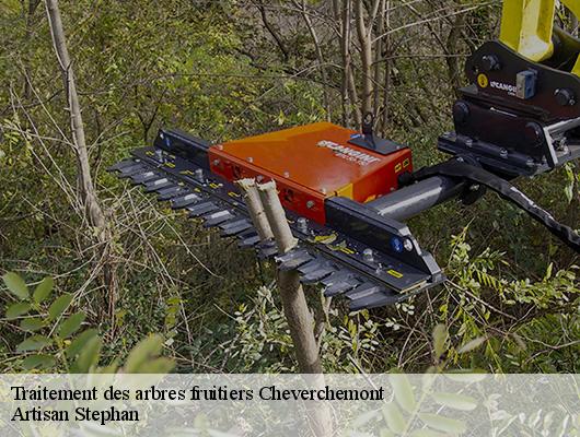 Traitement des arbres fruitiers  cheverchemont-78510 Artisan Stephan