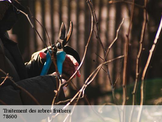 Traitement des arbres fruitiers 78600