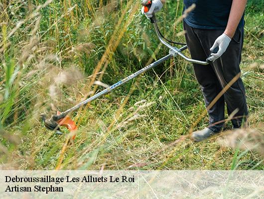 Debroussaillage  78580