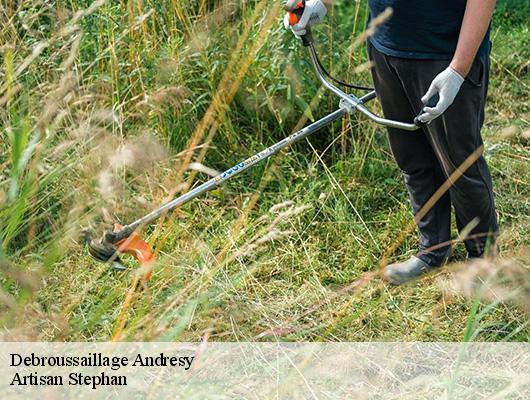 Debroussaillage 78570