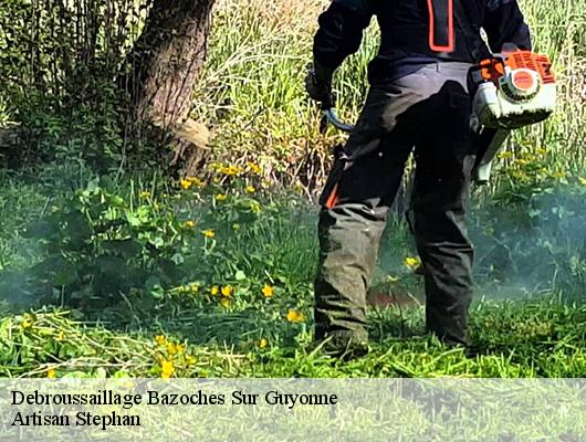 Debroussaillage bazoches-sur-guyonne-78490 Artisan Stephan