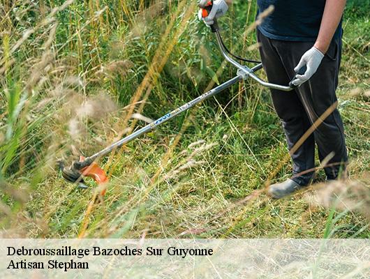 Debroussaillage 78490