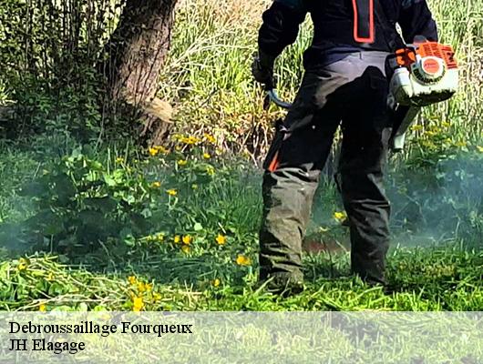 Debroussaillage  fourqueux-78112 JH Elagage