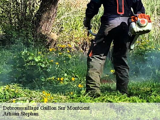 Debroussaillage gaillon-sur-montcient-78250 Artisan Stephan
