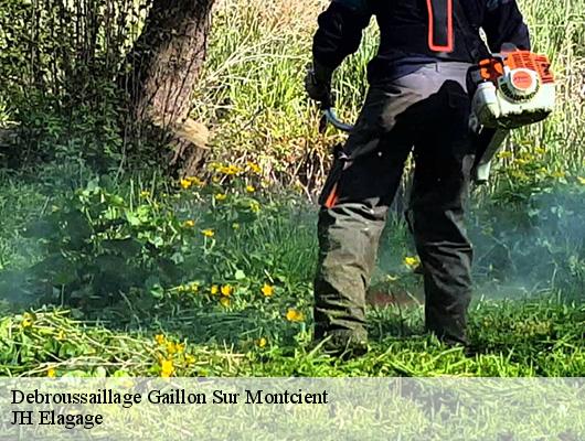 Debroussaillage  gaillon-sur-montcient-78250 JH Elagage