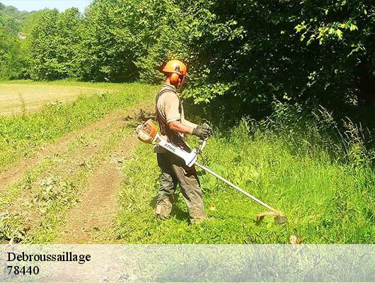 Debroussaillage 78440
