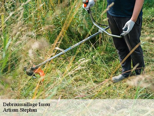 Debroussaillage 78440