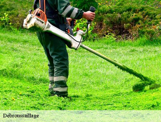 Debroussaillage  78320