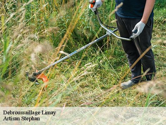 Debroussaillage 78520