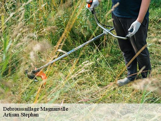 Debroussaillage  78200