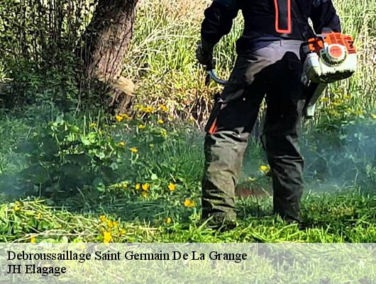 Debroussaillage  saint-germain-de-la-grange-78640 JH Elagage
