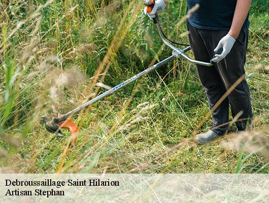 Debroussaillage 78125