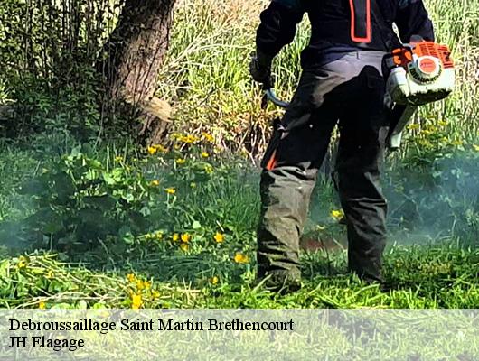 Debroussaillage saint-martin-brethencourt-78660 JH Elagage
