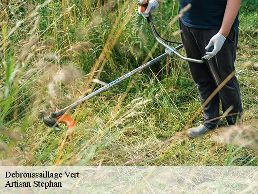 Debroussaillage  78930