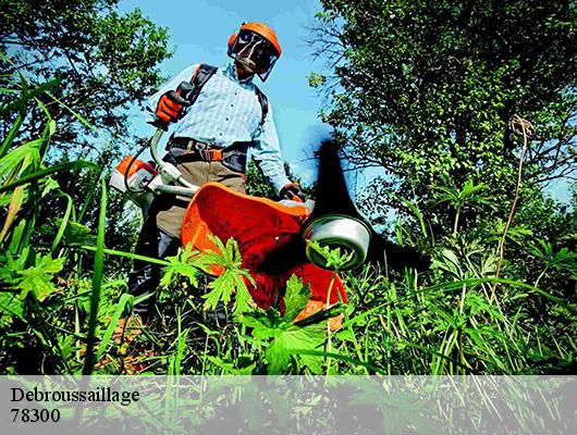 Debroussaillage  78300