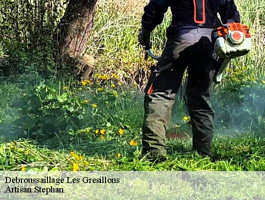 Debroussaillage  les-gresillons-78955 Artisan Stephan