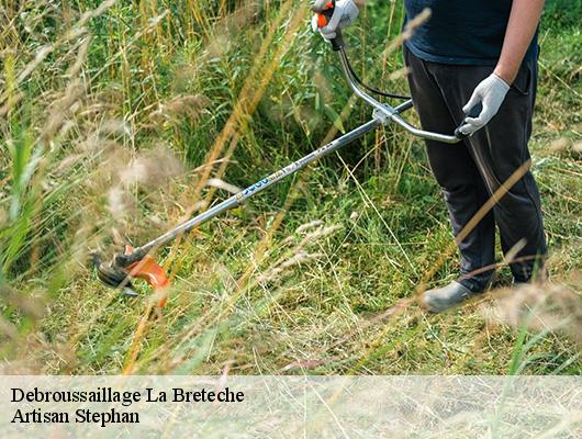 Debroussaillage  78860