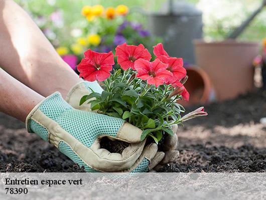 Entretien espace vert 78390