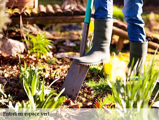 Entretien espace vert